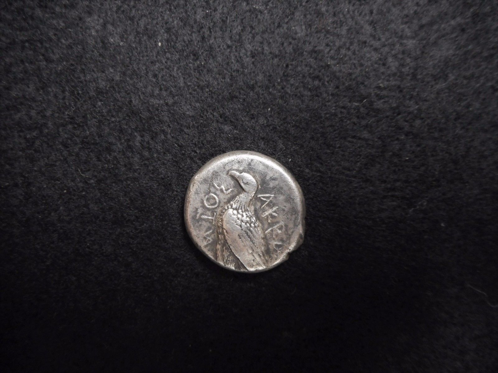 Ancient Greek Silver Tetradrachm Coin From Akragas Sicily - 450 BC