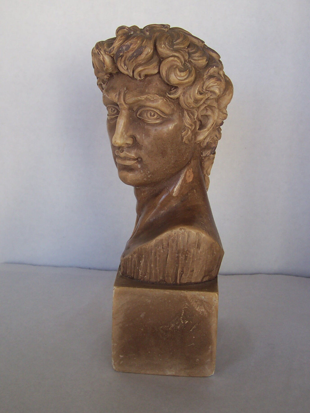 Antique Vintage Bust of Michelangelo's David ~ Male Head on Pedestal