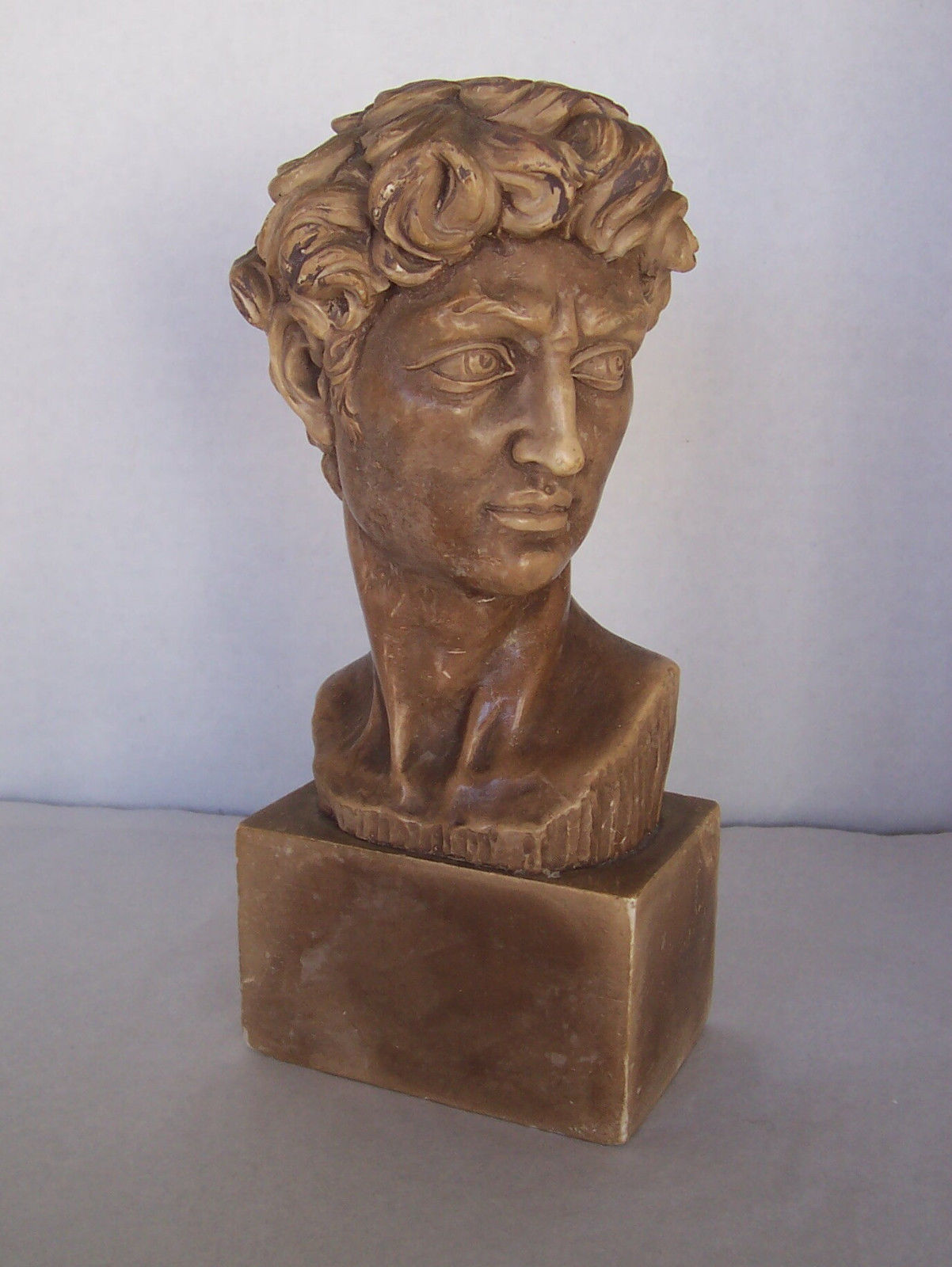 Antique Vintage Bust of Michelangelo's David ~ Male Head on Pedestal