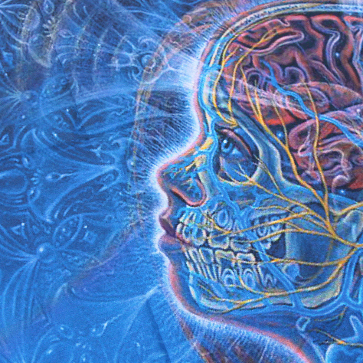 Moon - Alex Grey Psychedelic Trippy Art Silk Poster 24x36inch NEW