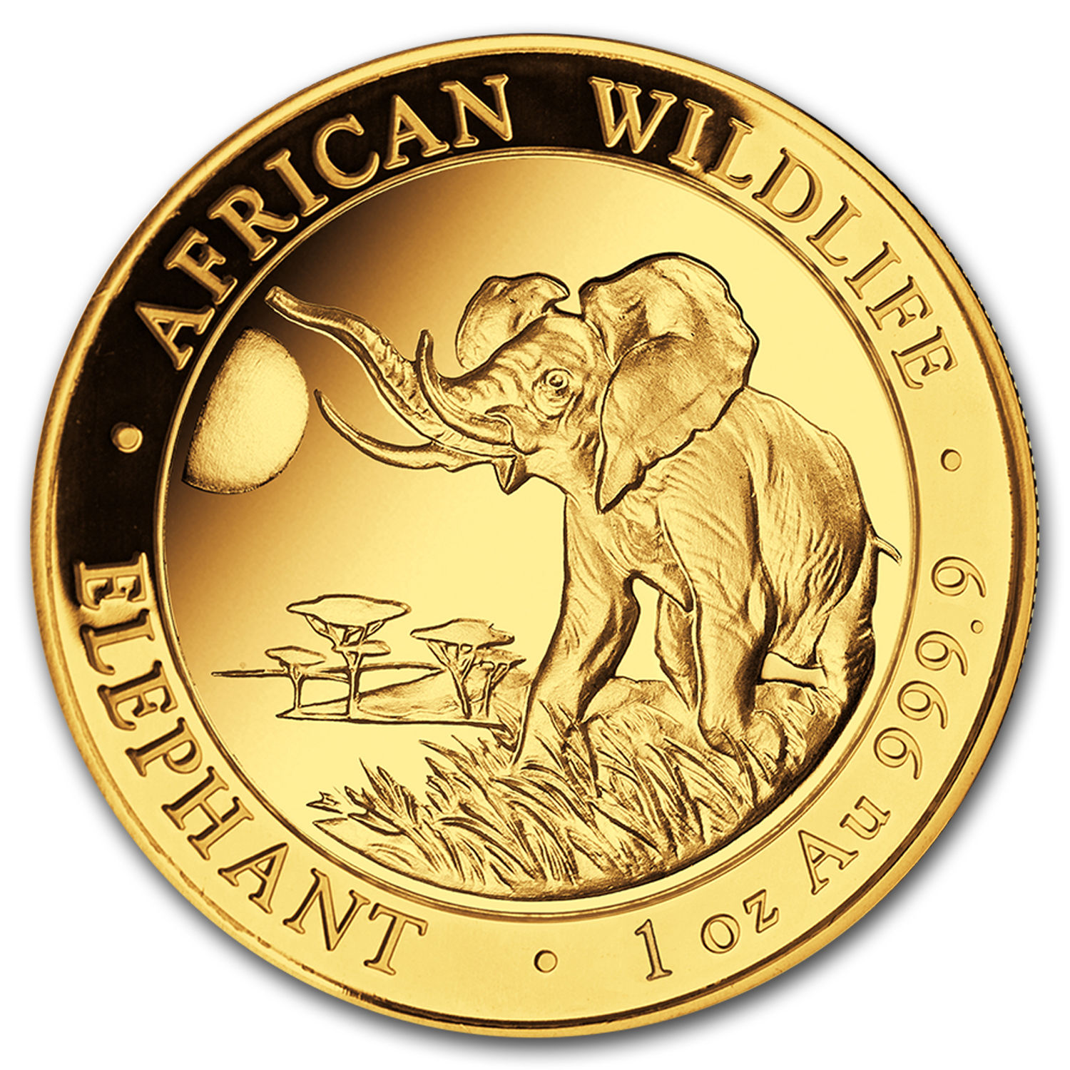 2016 Somalia 1 oz Gold African Elephant BU - SKU #93076