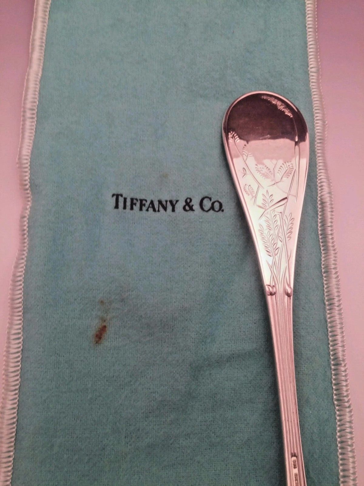 Audubon by Tiffany & Co Sterling Silver Vegetable Serving Spoon