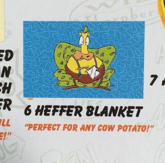 NEW NICKELODEON THE NICK BOX NICKTOONS REWIND ROCKO'S MODERN LIFE HEFFER BLANKET