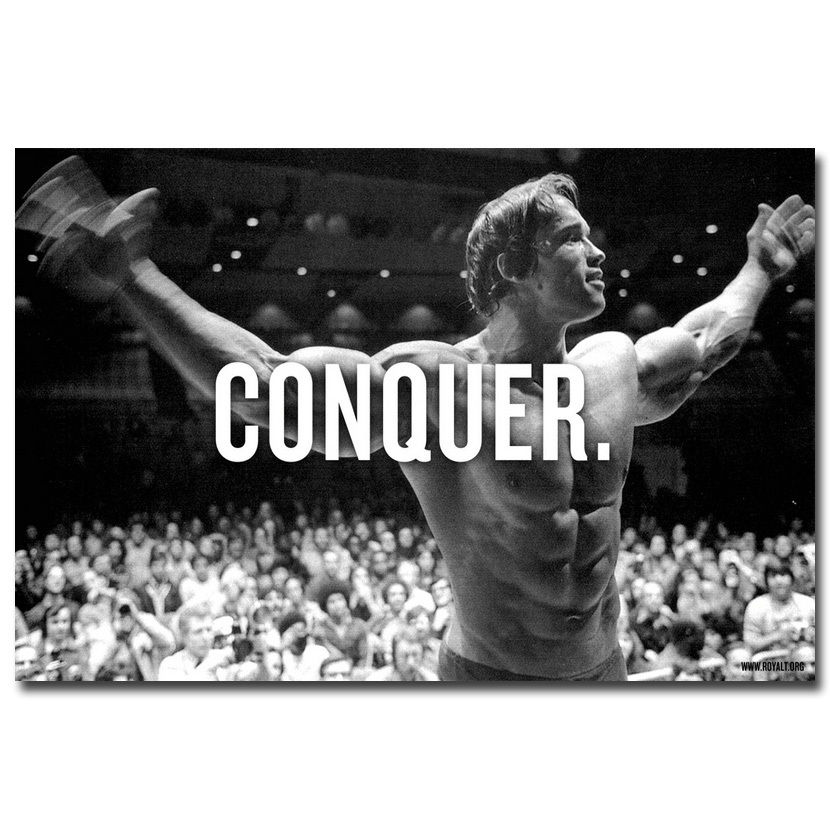 Conquer - Arnold Schwarzenegger Art Silk Canvas Poster 12x18 24x36 inch