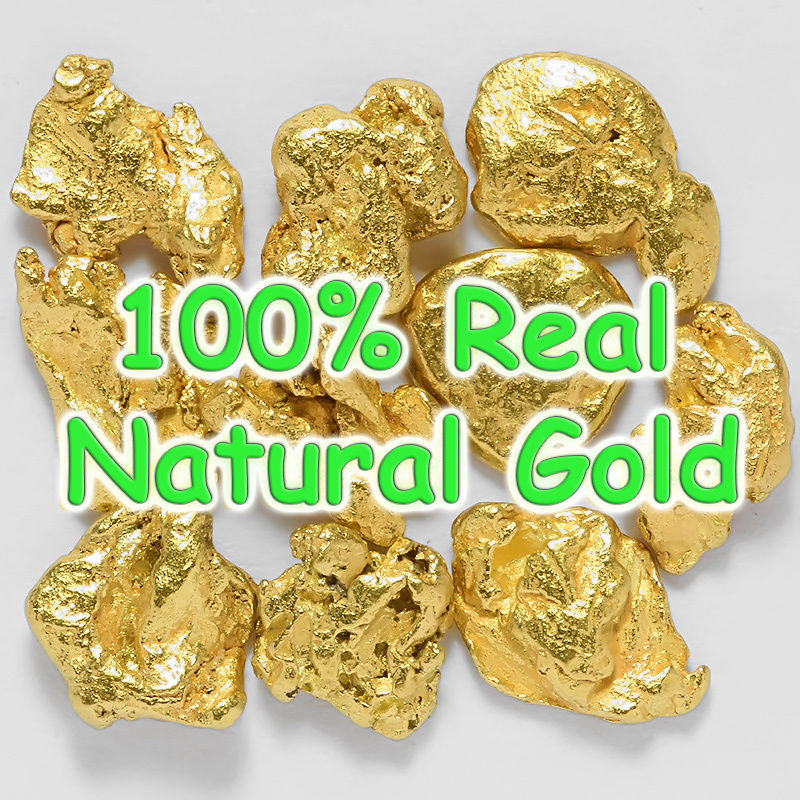 10 pcs Alaska Natural Gold Nuggets - Porcupine Creek Alaska as Seen on TV (#GT1)