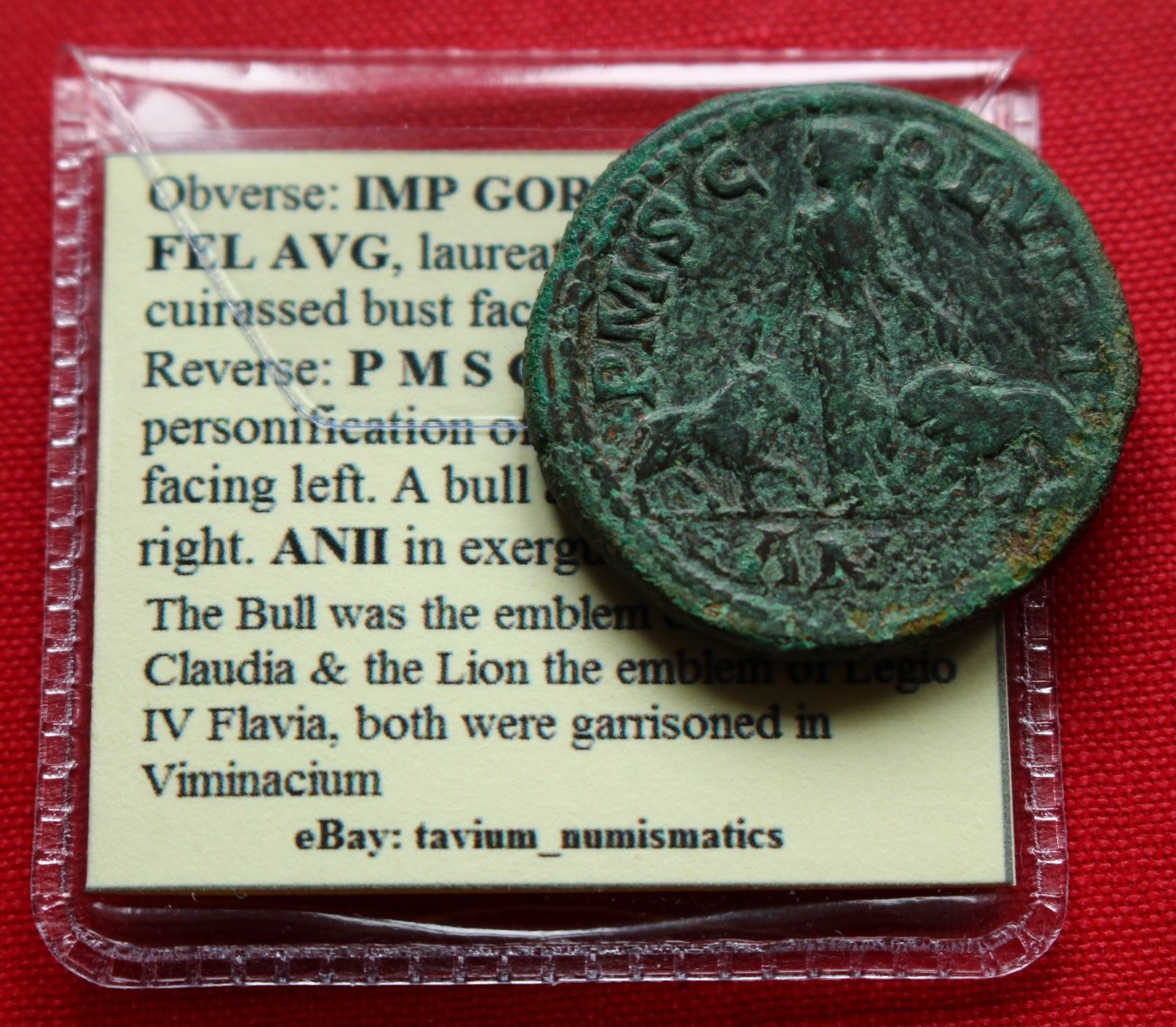 Gordian III Rare R3 AE30 18g 240AD Legions Viminacium Roman Empire Coin