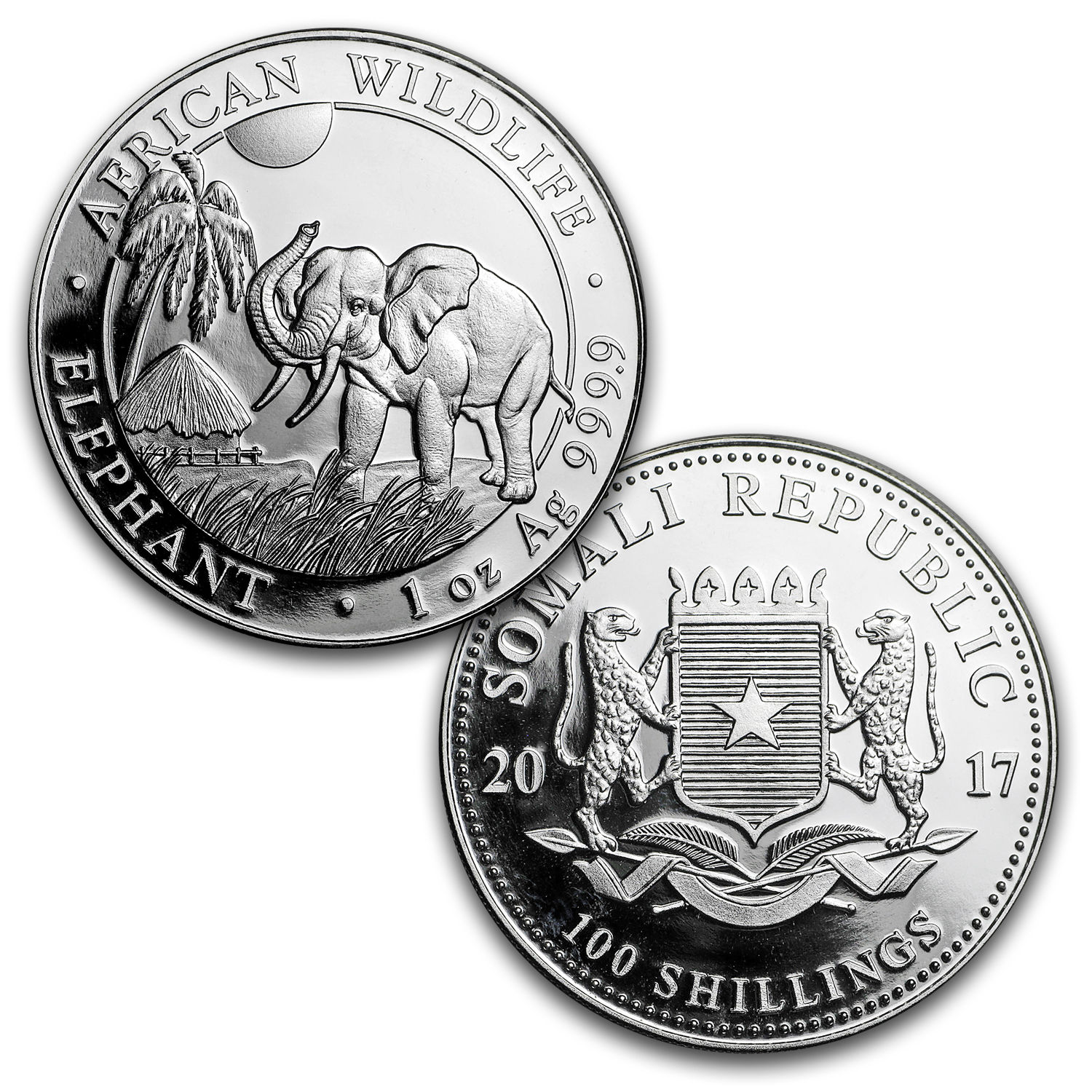 2017 10-Coin Silver 1 oz Around the World Bullion Set - SKU #131876