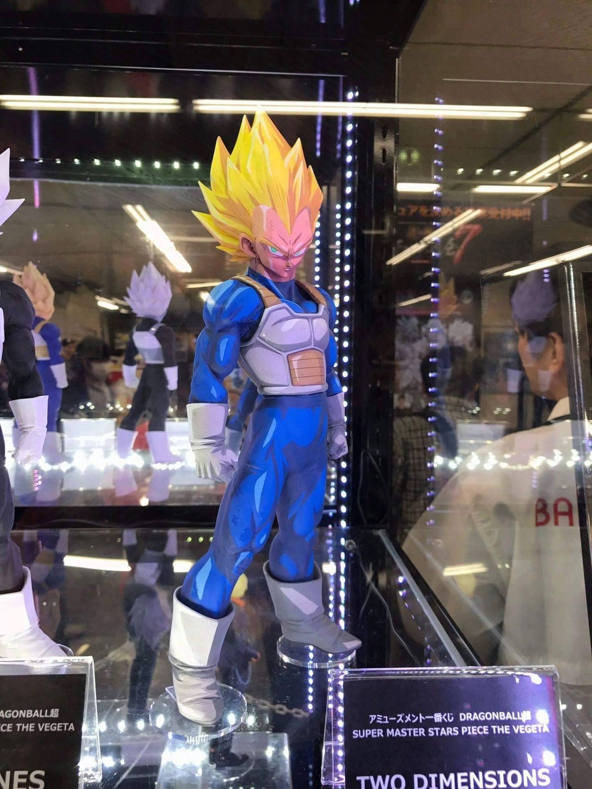 Banpresto Dragonball Z Super Master Stars Piece VEGETA TWO DIMENSIONS 2D FIGURE