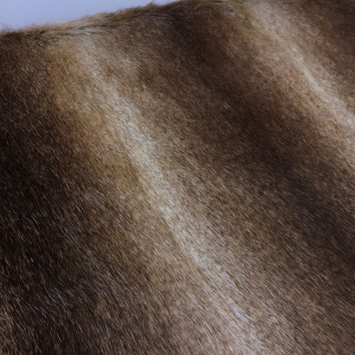 ' Nomad  ' - striped mix of browns, tans, golds and taupe - furaddiction