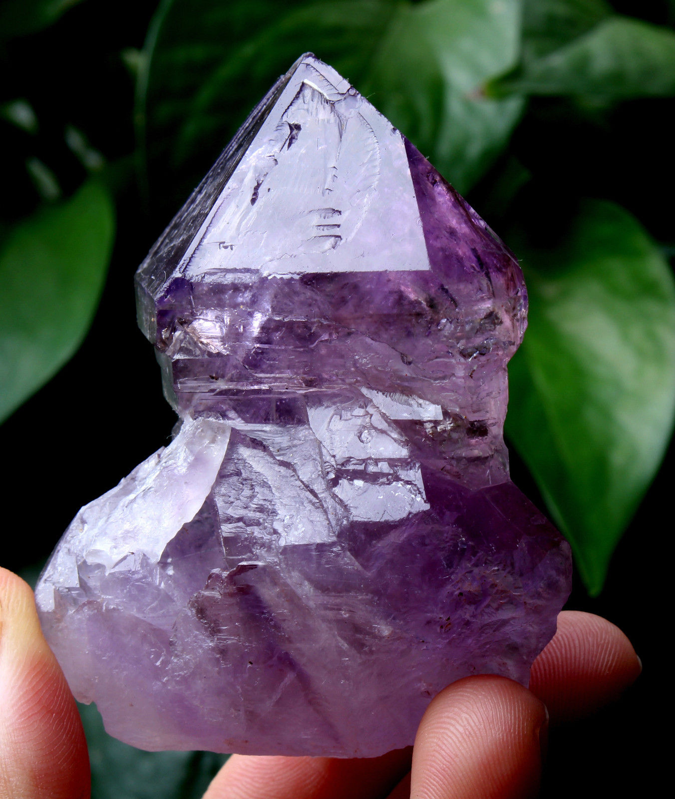 Natural Skeletal Amethyst QUARTZ Crystal Point Specimen Healing  101.4g