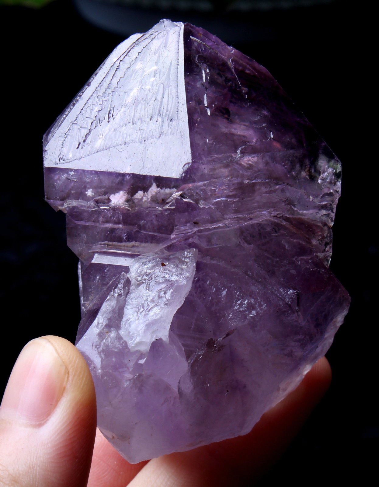 Natural Skeletal Amethyst QUARTZ Crystal Point Specimen Healing  101.4g