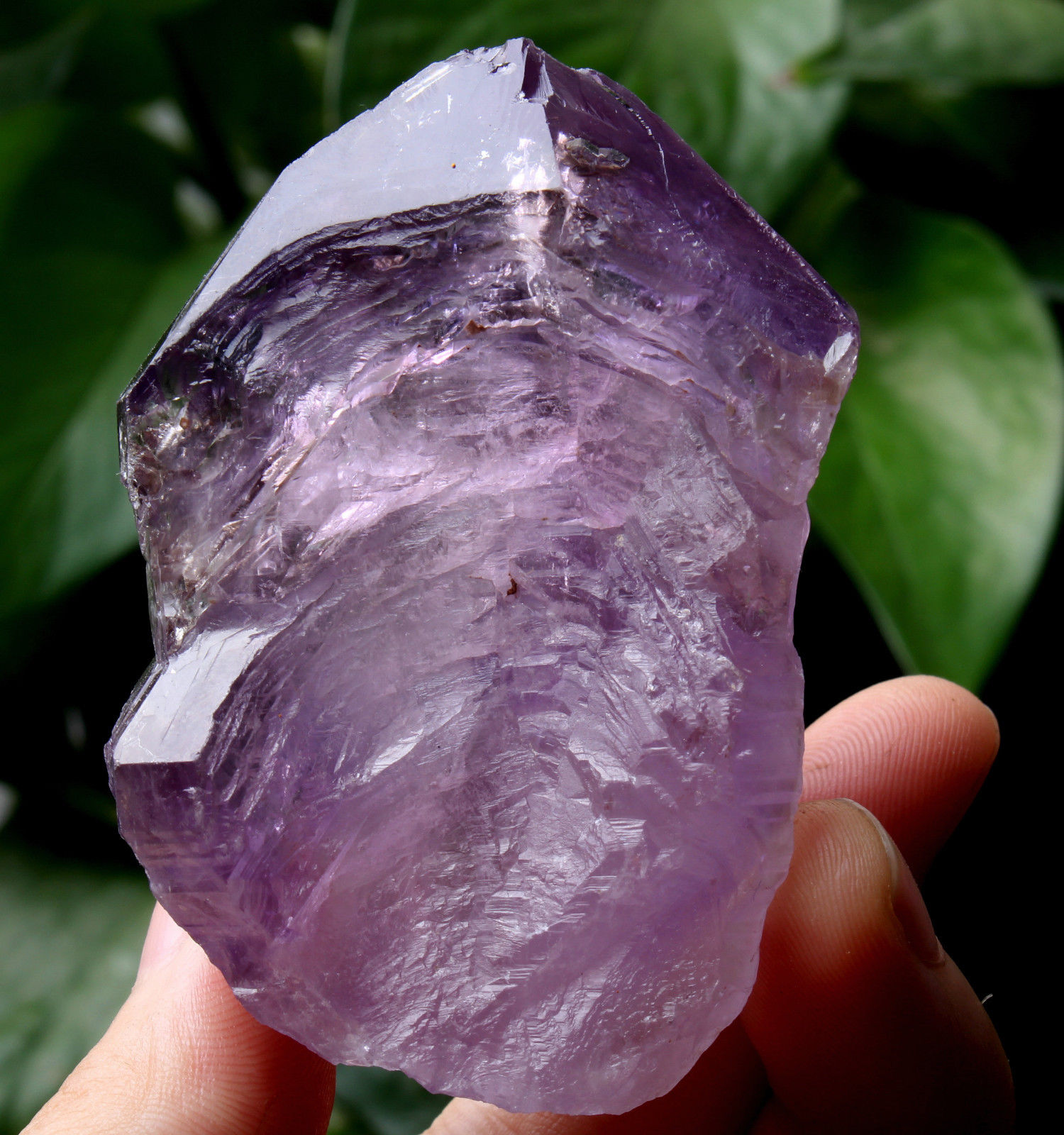 Natural Skeletal Amethyst QUARTZ Crystal Point Specimen Healing  101.4g