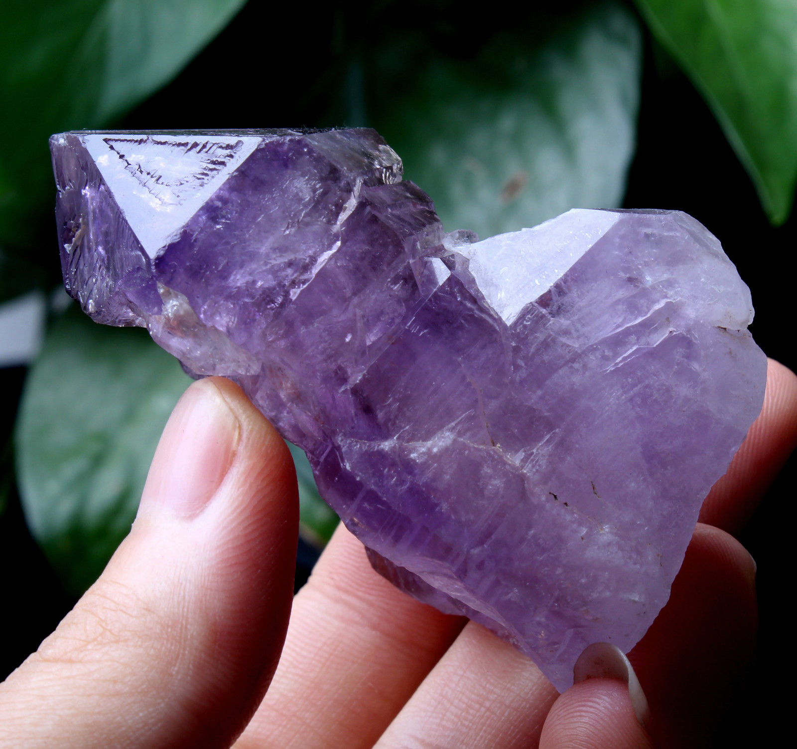 Natural Skeletal Amethyst QUARTZ Crystal Point Specimen Healing  101.4g