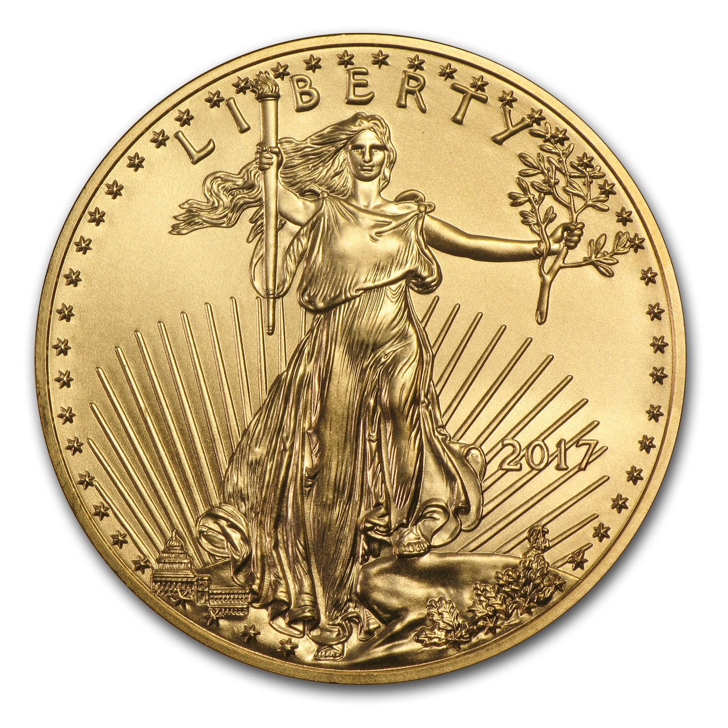 2017 1 oz Gold American Eagle Coin Brilliant Uncirculated - SKU #117271