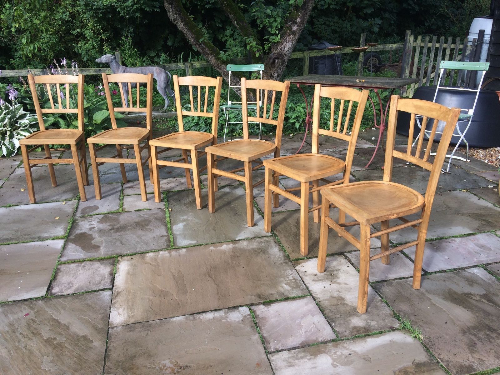 Set of six French beech country chairs Circa 1930s