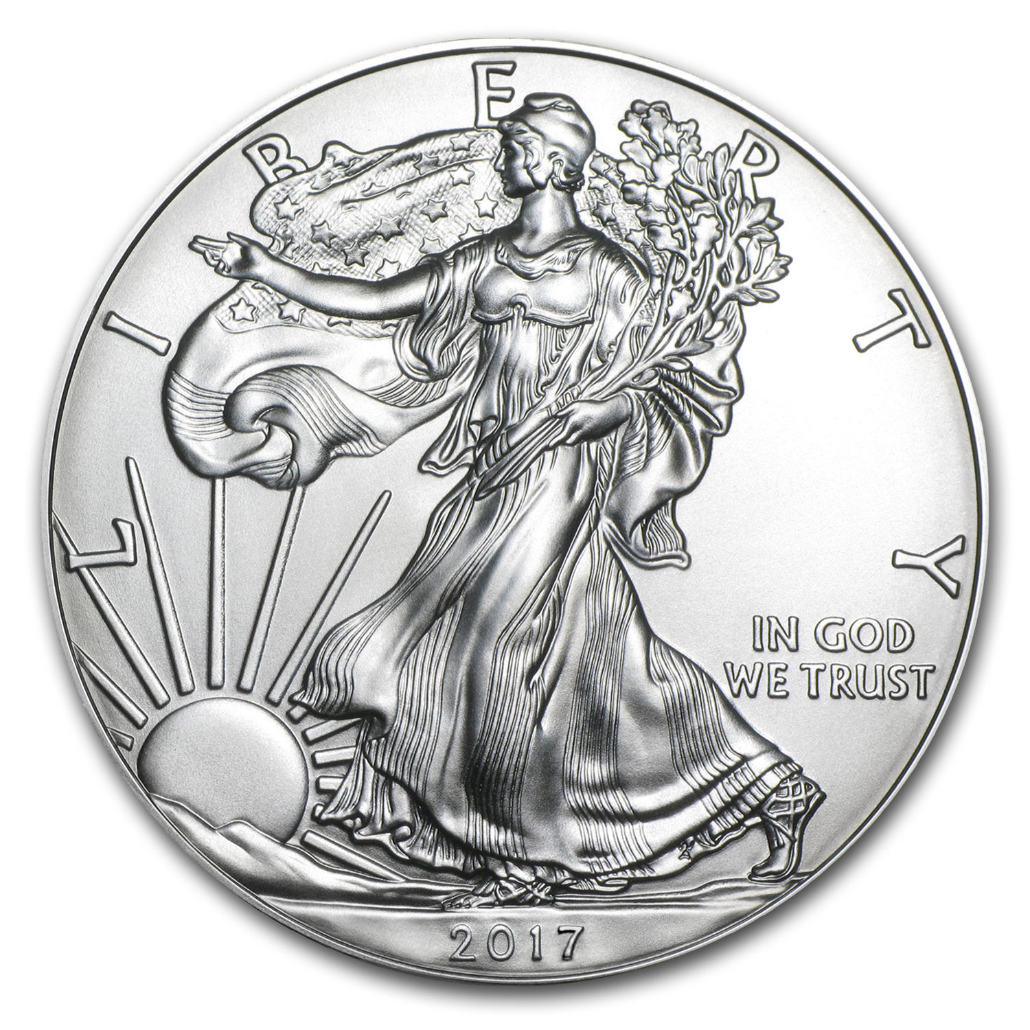 2017 1oz Silver American Eagle BU (Lot, Roll of 100, Five Tubes) - SKU #117470