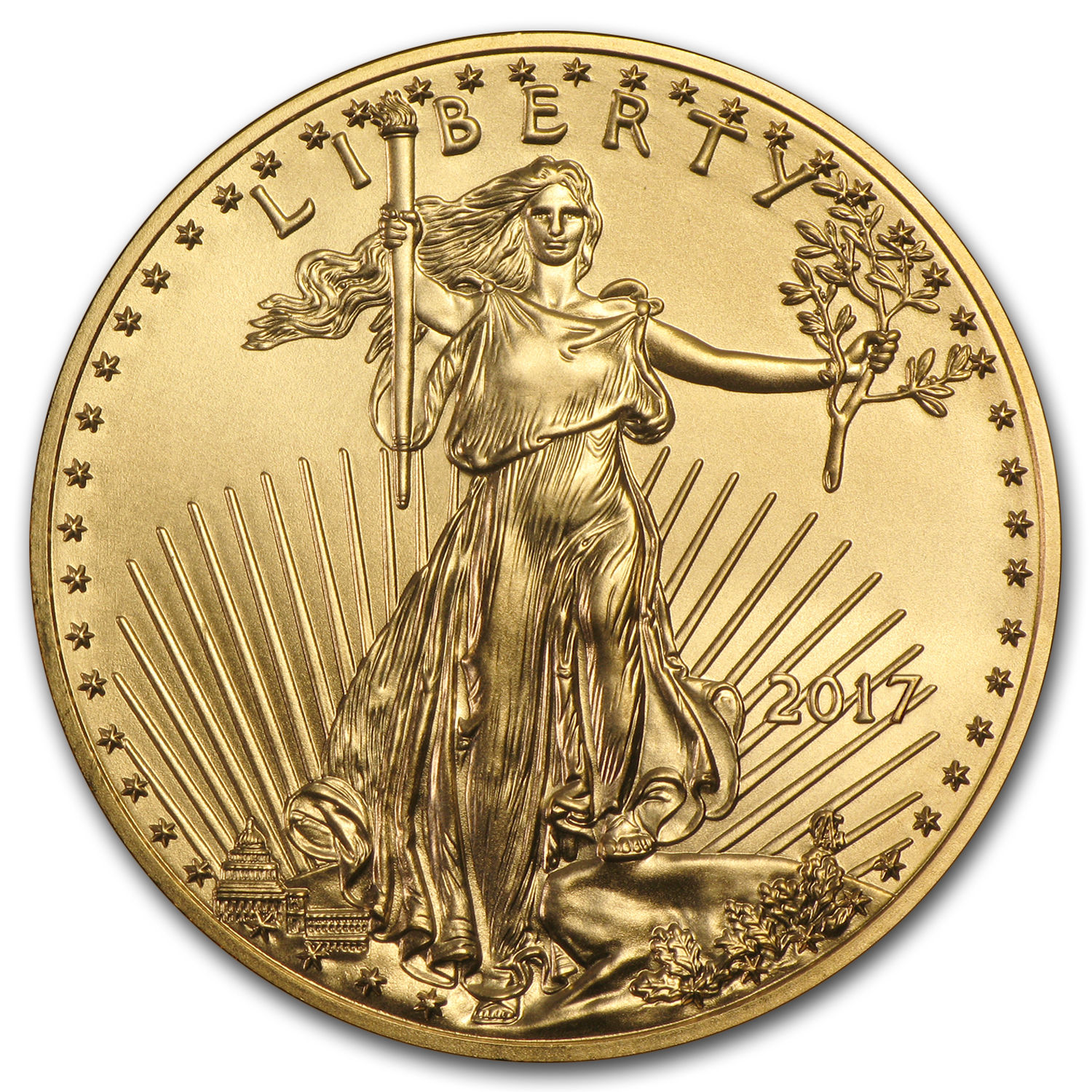 2017 1 oz Gold American Eagle (MintDirect® Single) - SKU #102253