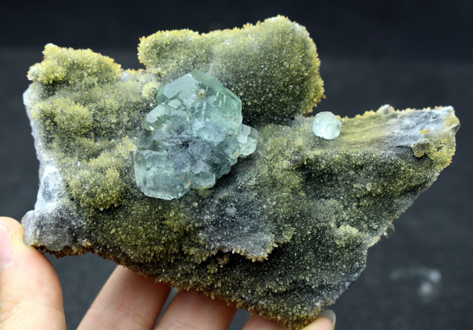 337.5g  NATURAL Green.Blue FLUORITE Quartz Crystal Cluster  Mineral Specimen