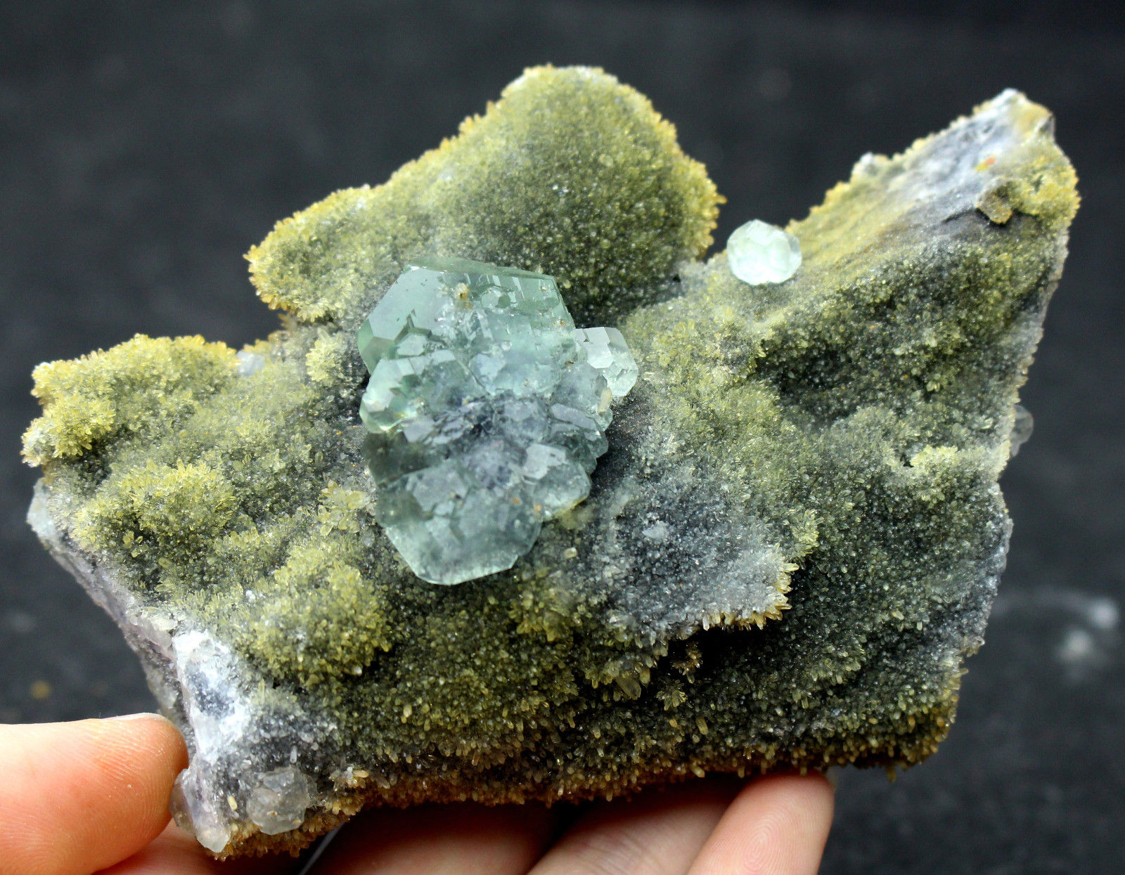 337.5g  NATURAL Green.Blue FLUORITE Quartz Crystal Cluster  Mineral Specimen