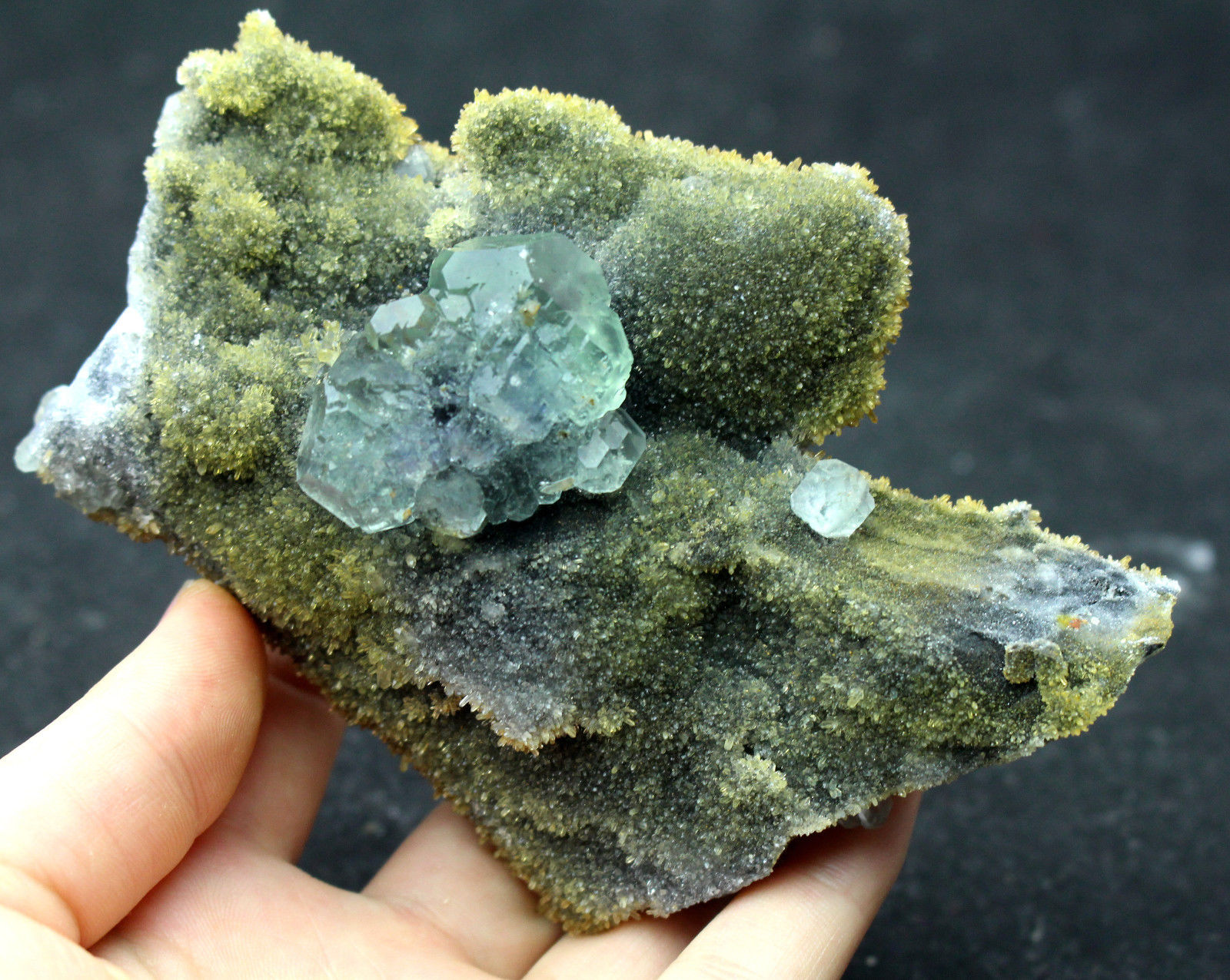 337.5g  NATURAL Green.Blue FLUORITE Quartz Crystal Cluster  Mineral Specimen