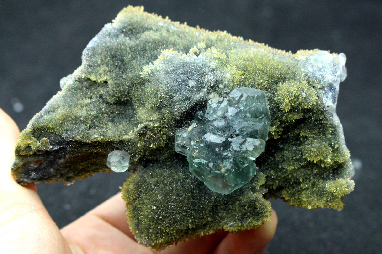 337.5g  NATURAL Green.Blue FLUORITE Quartz Crystal Cluster  Mineral Specimen