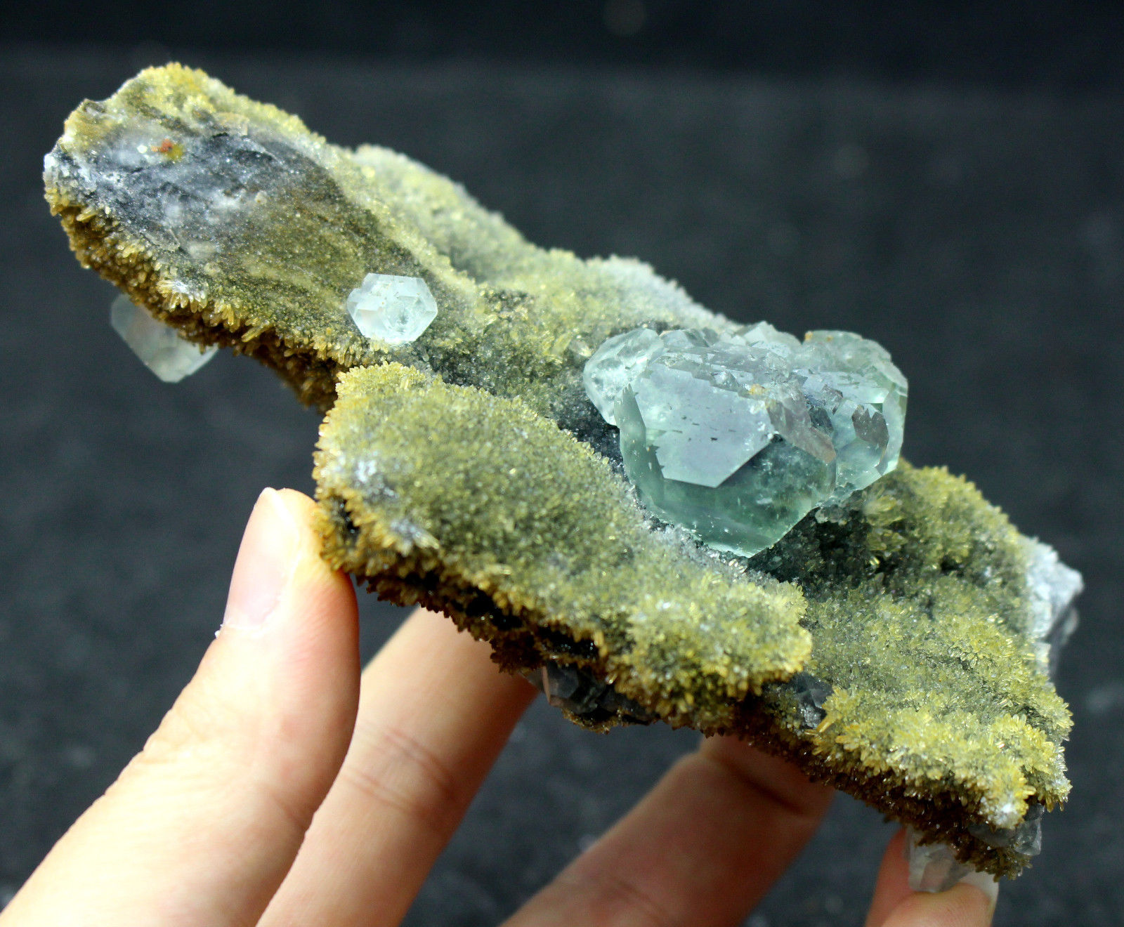 337.5g  NATURAL Green.Blue FLUORITE Quartz Crystal Cluster  Mineral Specimen