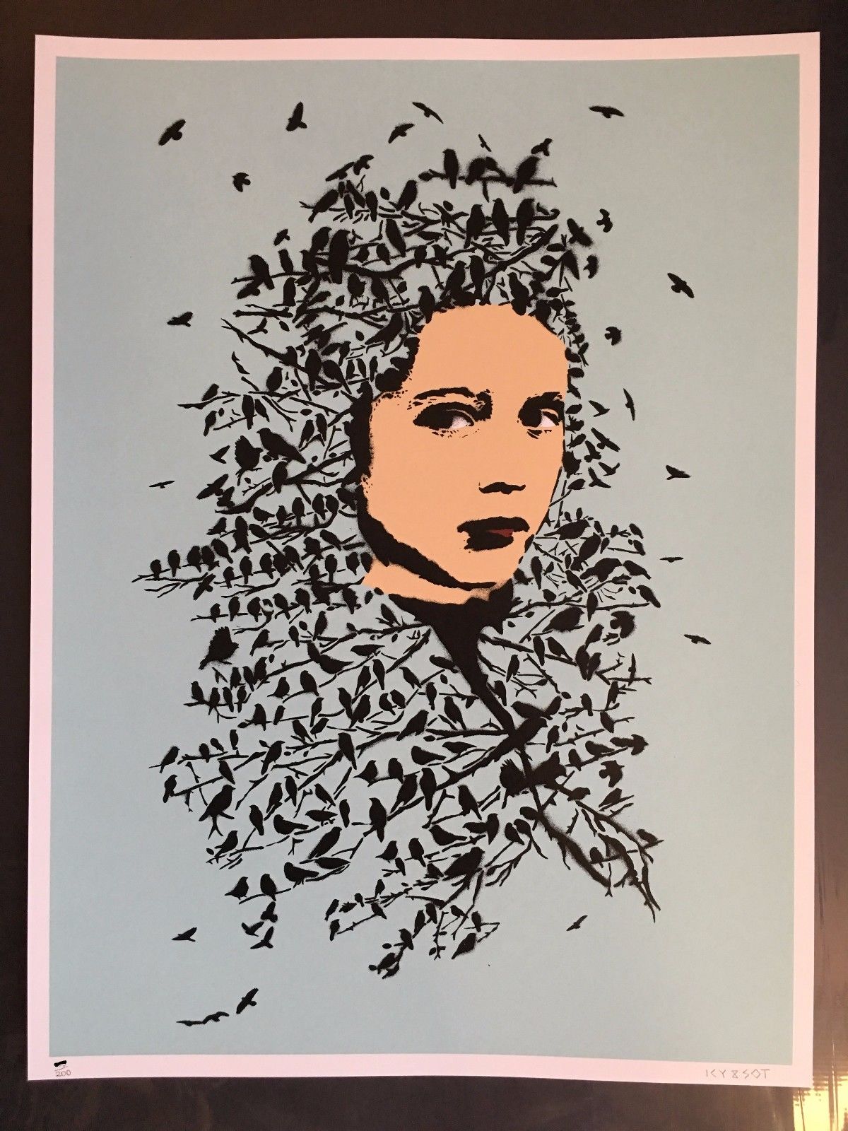 Icy and Sot - let her be free - edition of 200- SOLDOUT (w banksy dolk obey pic)