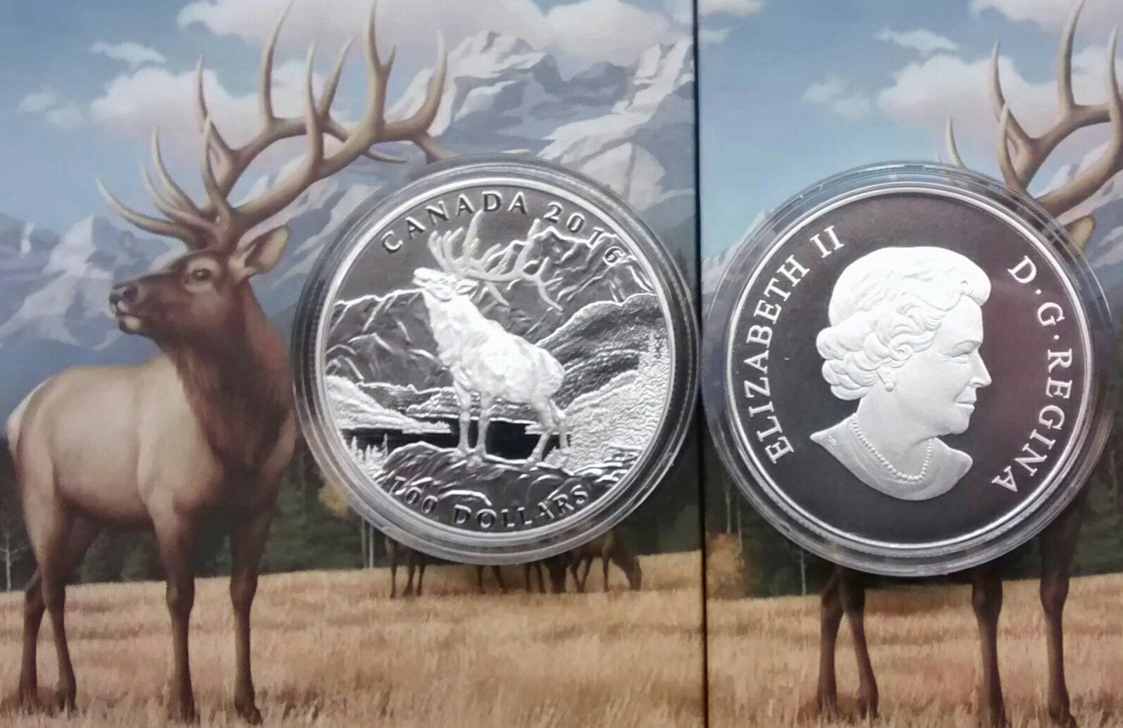 $100 2016 THE ELK 1OZ Pure Silver Proof Coin Canada.