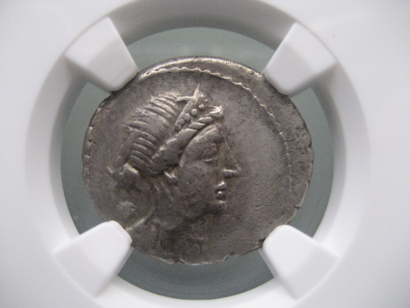 Julius Caesar Silver AR Denarius NGC Ch VF **Roman Imperatorial** d. 44 BC