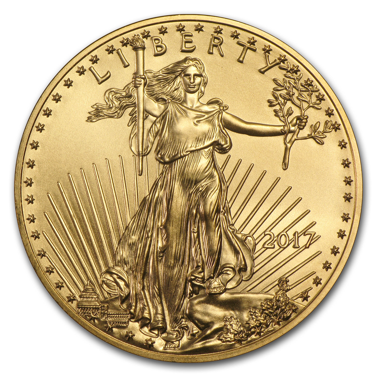 2017 1/2 oz Gold American Eagle BU (w/U.S. Mint Box) - SKU #102679