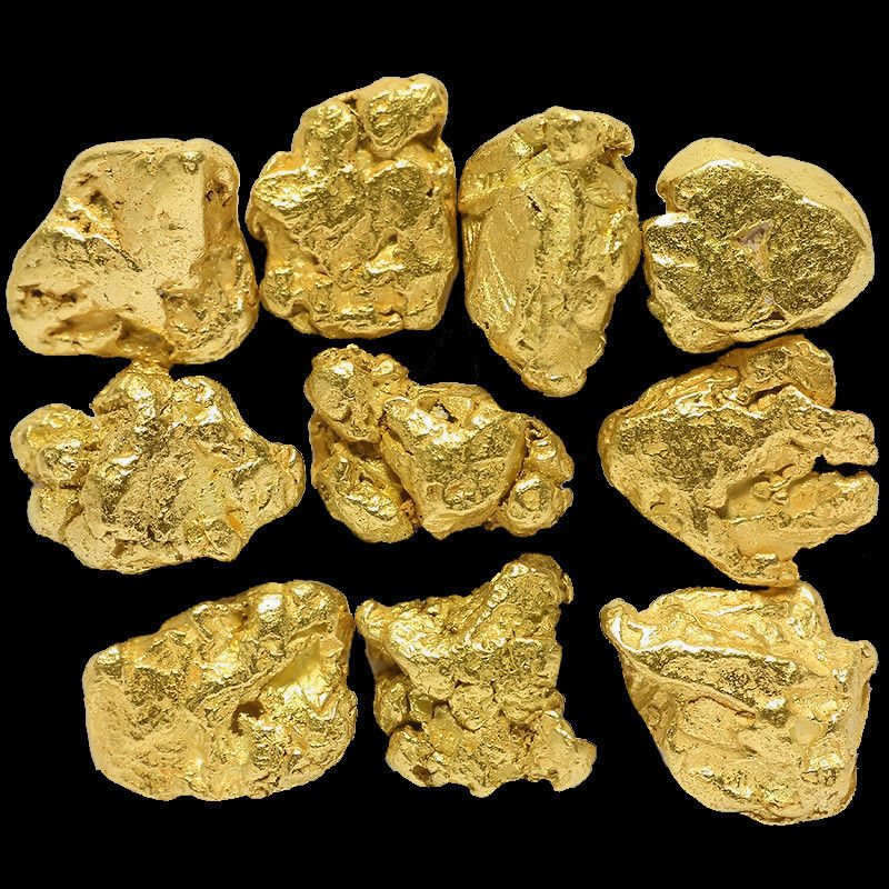 10 Pieces Alaska Natural Gold Nuggets - FREE SHIPPING - (#267g)