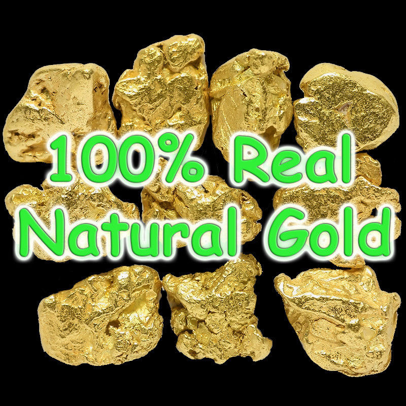 10 Pieces Alaska Natural Gold Nuggets - FREE SHIPPING - (#267g)