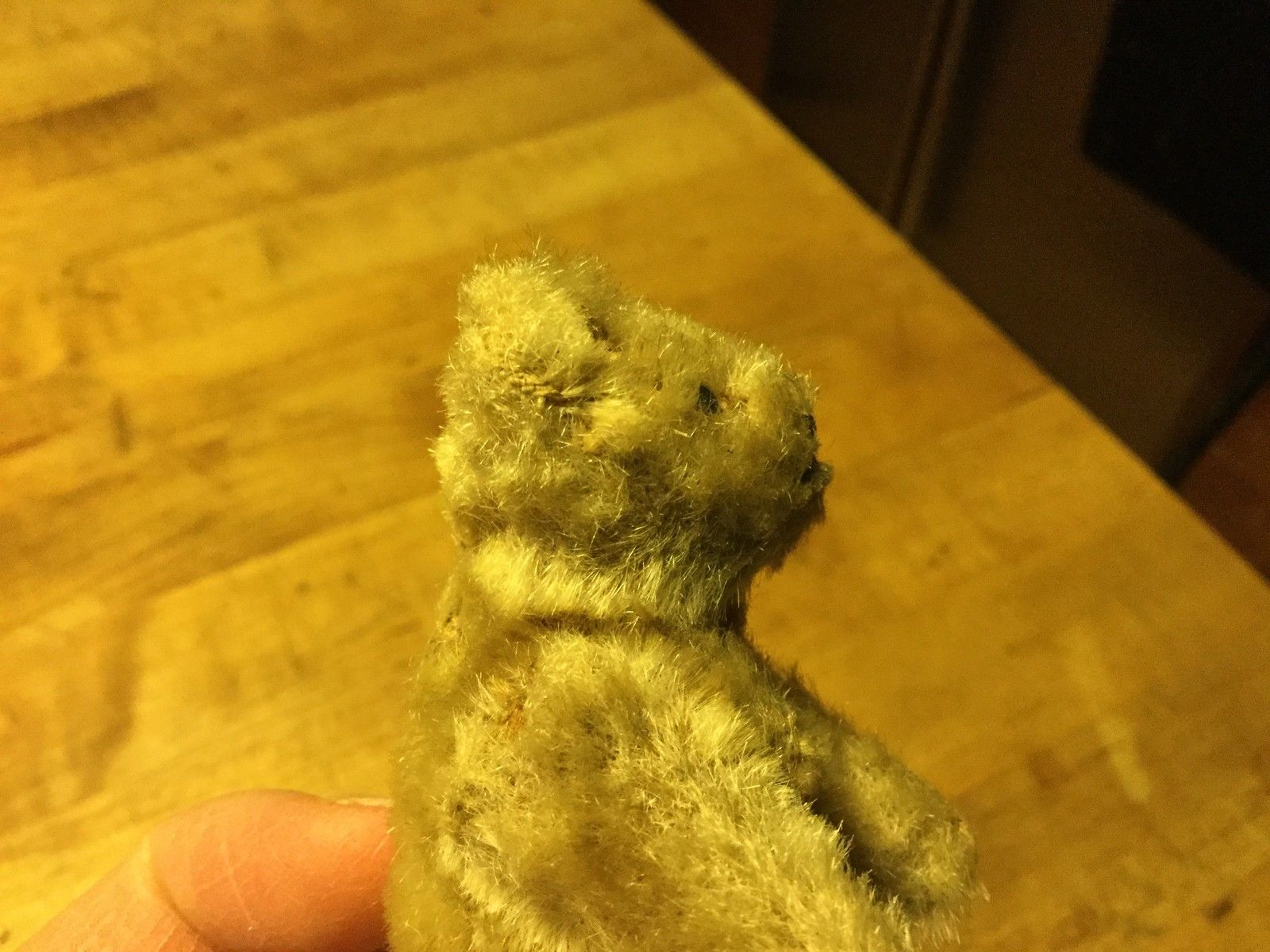 RARE Antique Early 1900s Steiff Miniature TINY Teddy Mohair STARGAZER Bear 3.5"