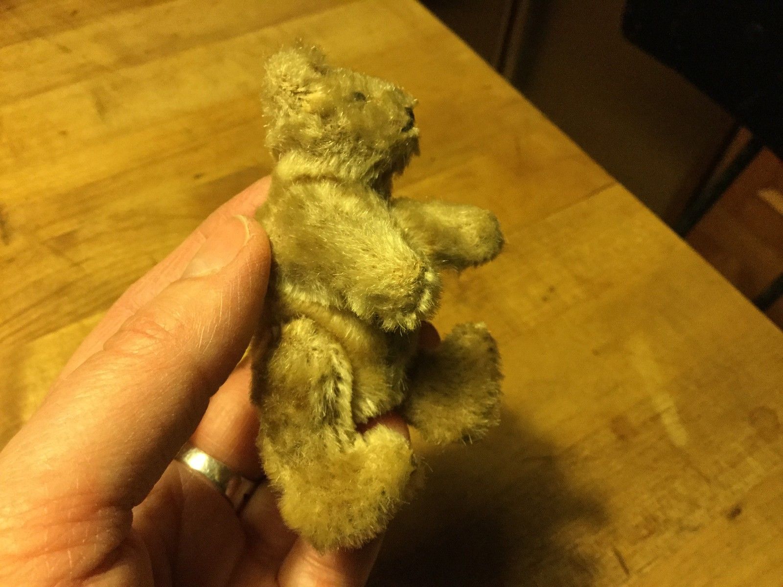 RARE Antique Early 1900s Steiff Miniature TINY Teddy Mohair STARGAZER Bear 3.5"