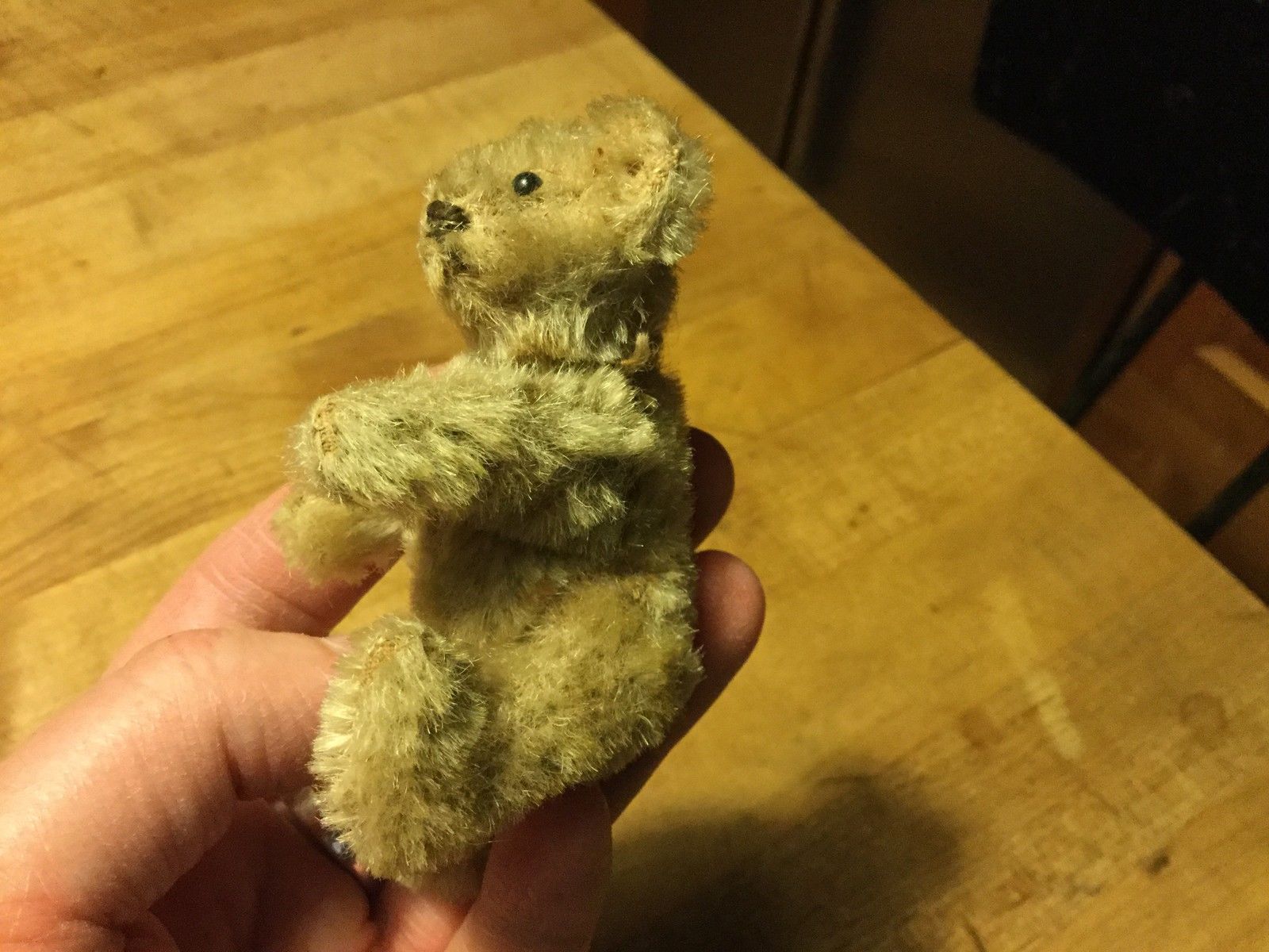 RARE Antique Early 1900s Steiff Miniature TINY Teddy Mohair STARGAZER Bear 3.5"