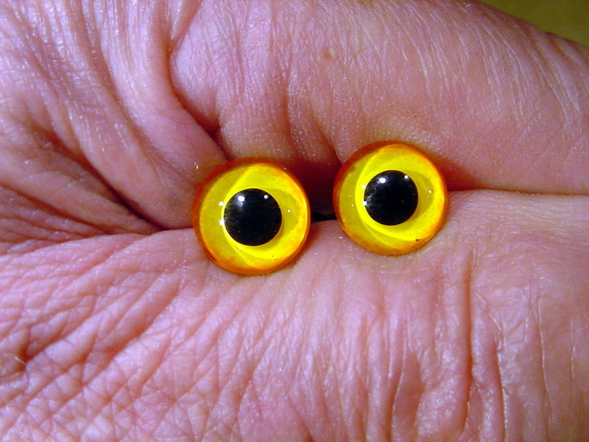 a pair vintage solid Glass Eyes size 10 mm teady bear taxidermy age 1910 Art A16