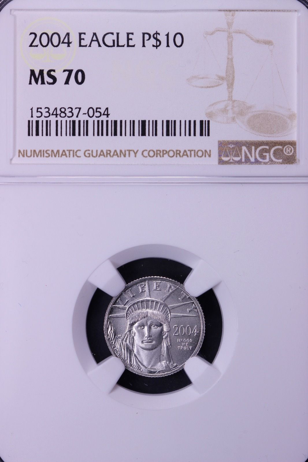 2004 1/10 Oz $10 Platinum Eagle NGC MS70 Key Date 9-9SNTX