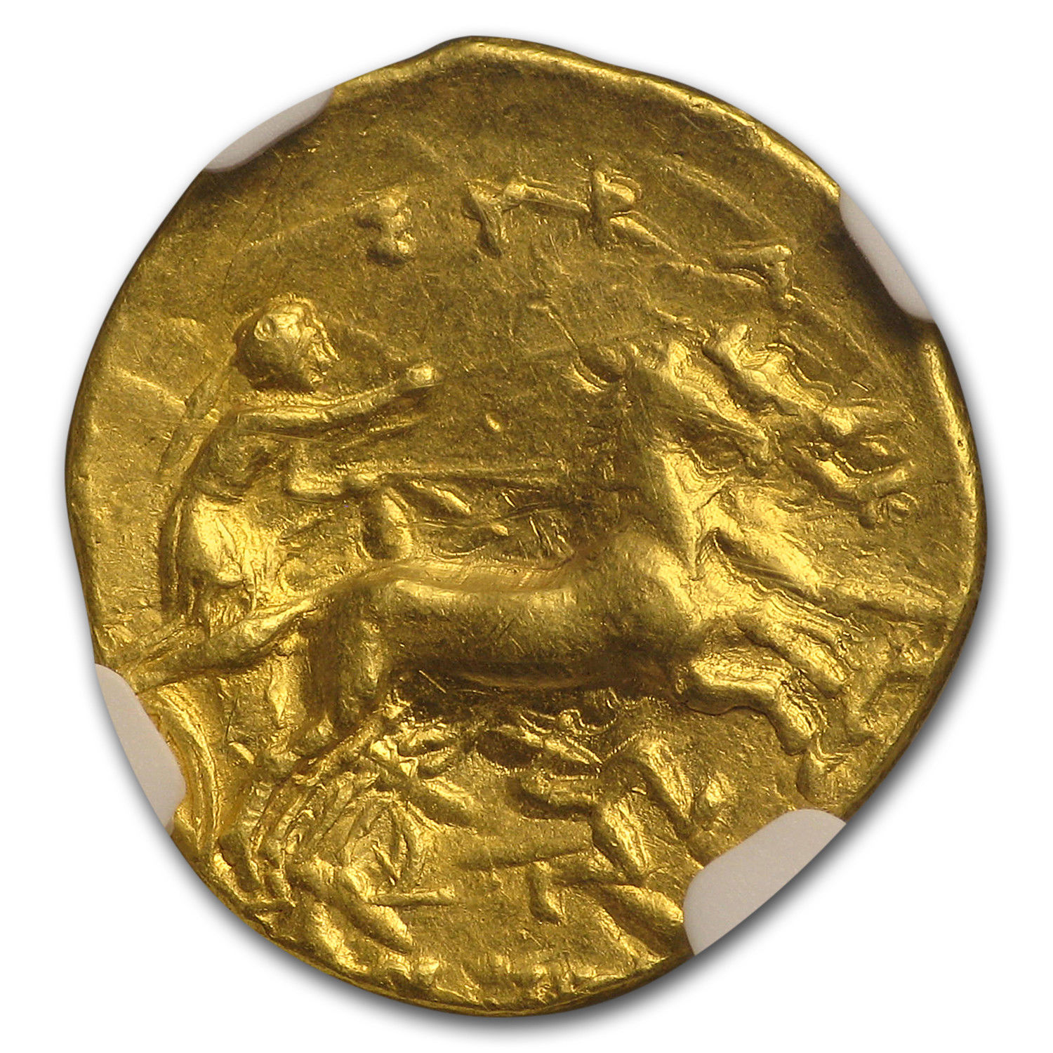 Sicily Syracuse Gold Decadrachm Agathocles (317-289 BC) AU NGC