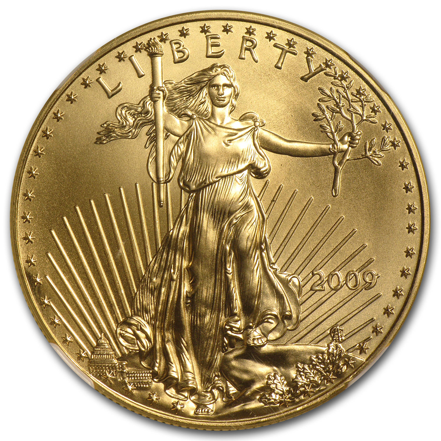 1 oz Gold American Eagle MS-70 NGC (Random Year) - SKU #83481