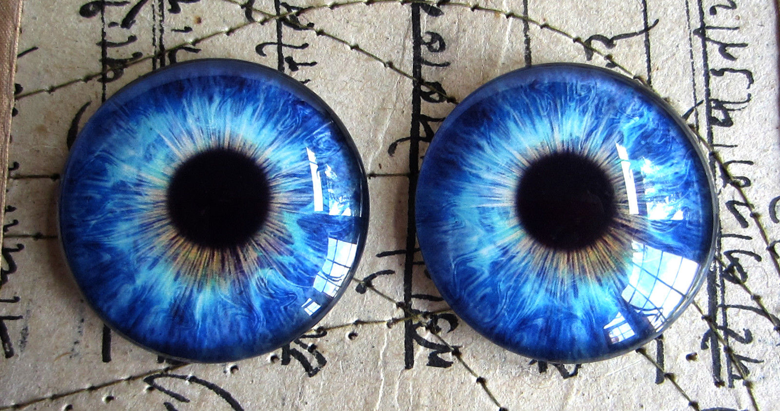 Taxidermy Glass Dragon, Doll, steampunk, Teddy Bear Eyes, Blue 40mm or 50mm