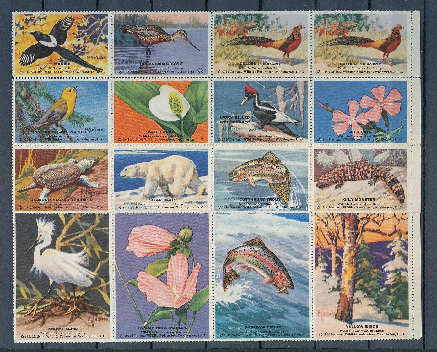 Cinderellas Poster France LÉnfance Wildlife Boats Booklets Belgium (120+)AU7762