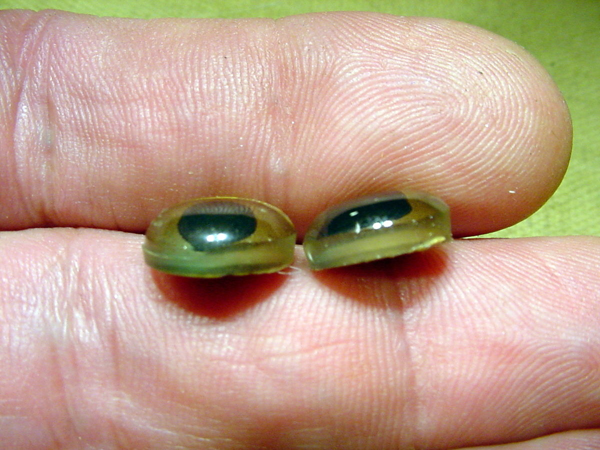 a pair vintage solid Glass Eyes size 12 mm teady bear taxidermy age 1910 A 1101