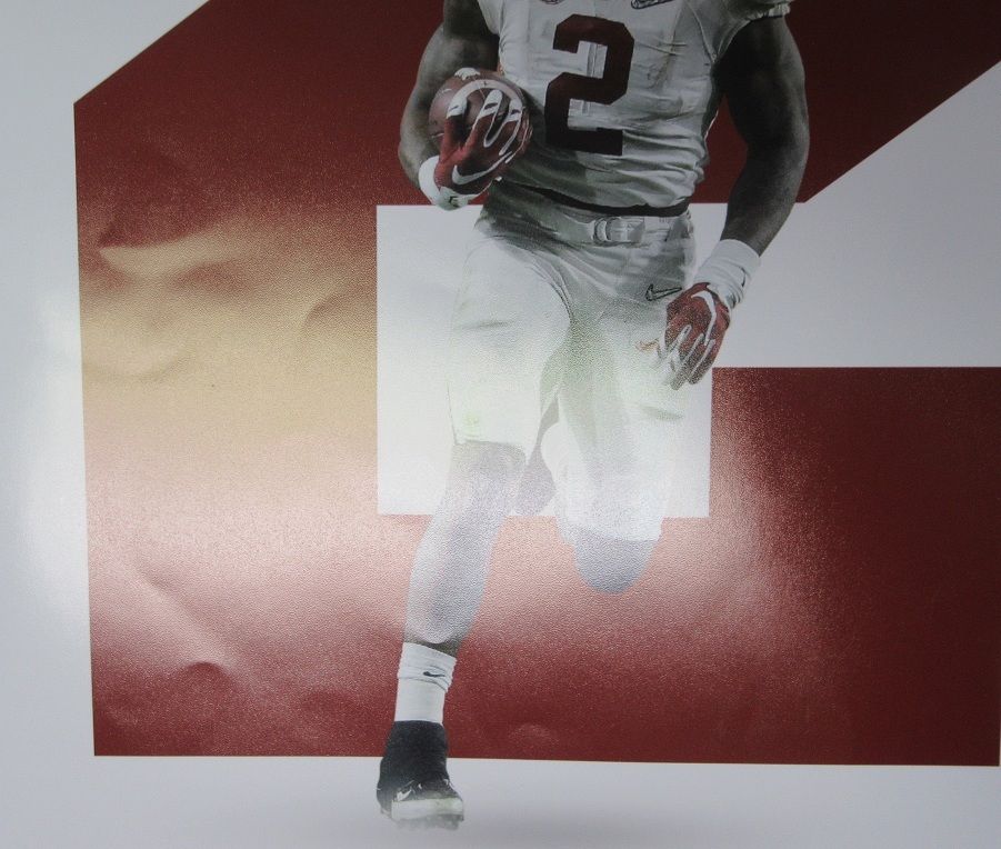 DERRICK HENRY "Jersey #, Limited to 2" Signed 20x20 Photo Alabama Crimson Tide