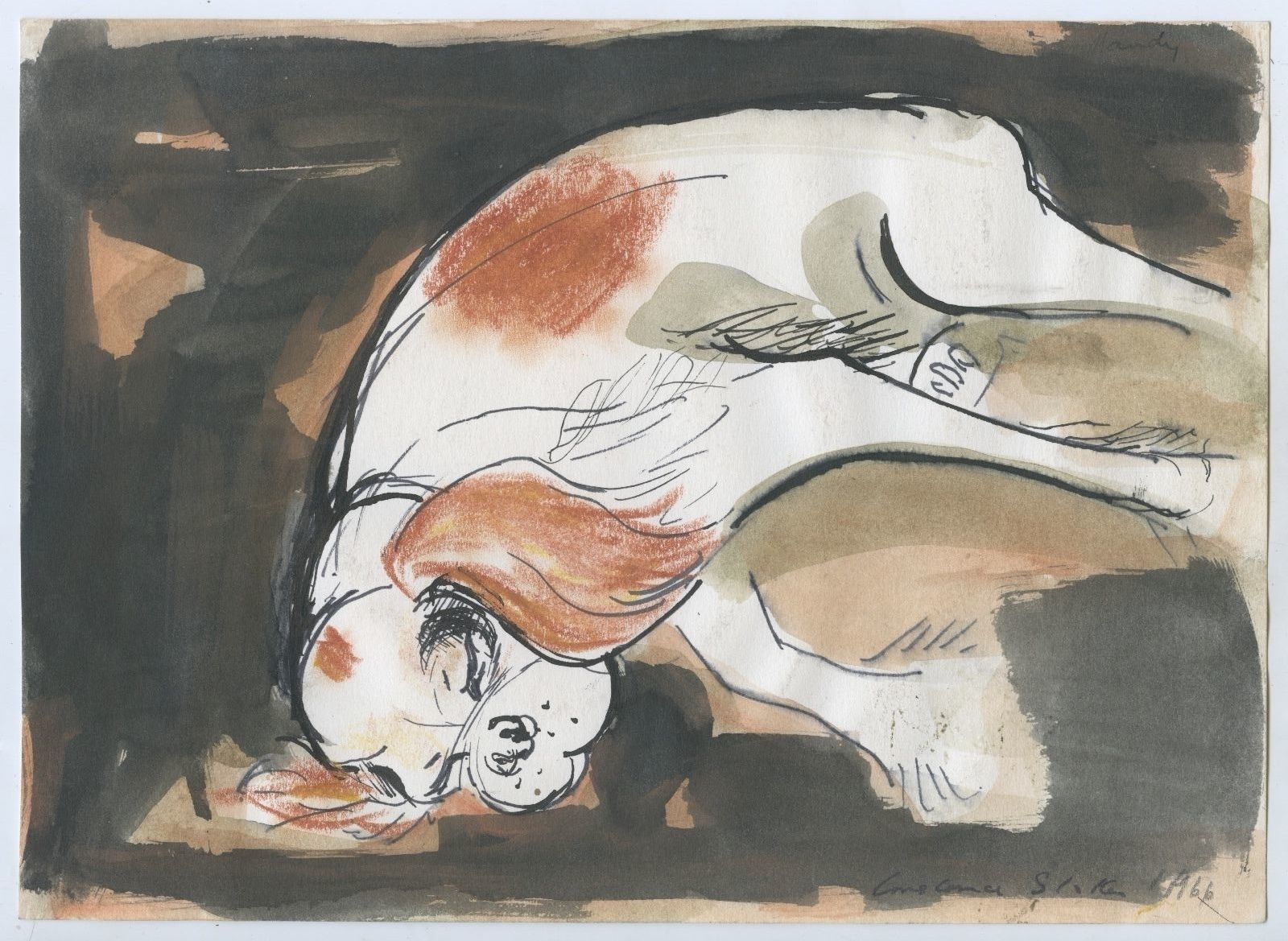 1966 WATERCOLOUR INK PASTEL & PEN SLEEPING CAVALIER DOG BY CONSTANCE STOKES  B45