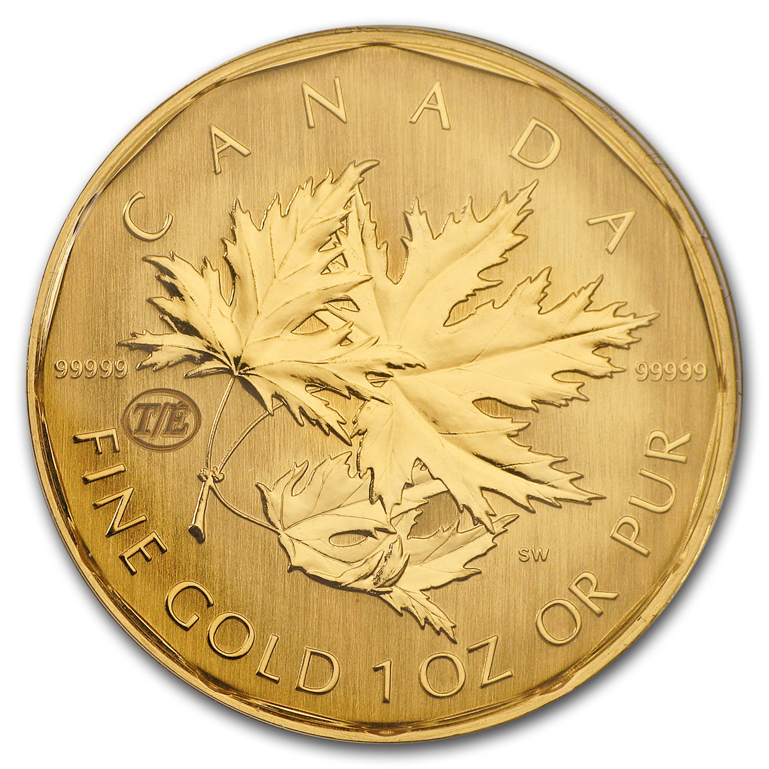 2007 Canada 1 oz Gold Maple Leaf .99999 BU (Test Coin)