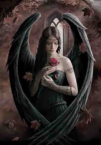 ANNE STOKES Angel Rose Cloth Poster Flag Fabric Textile Tapestry Wall Banner-New