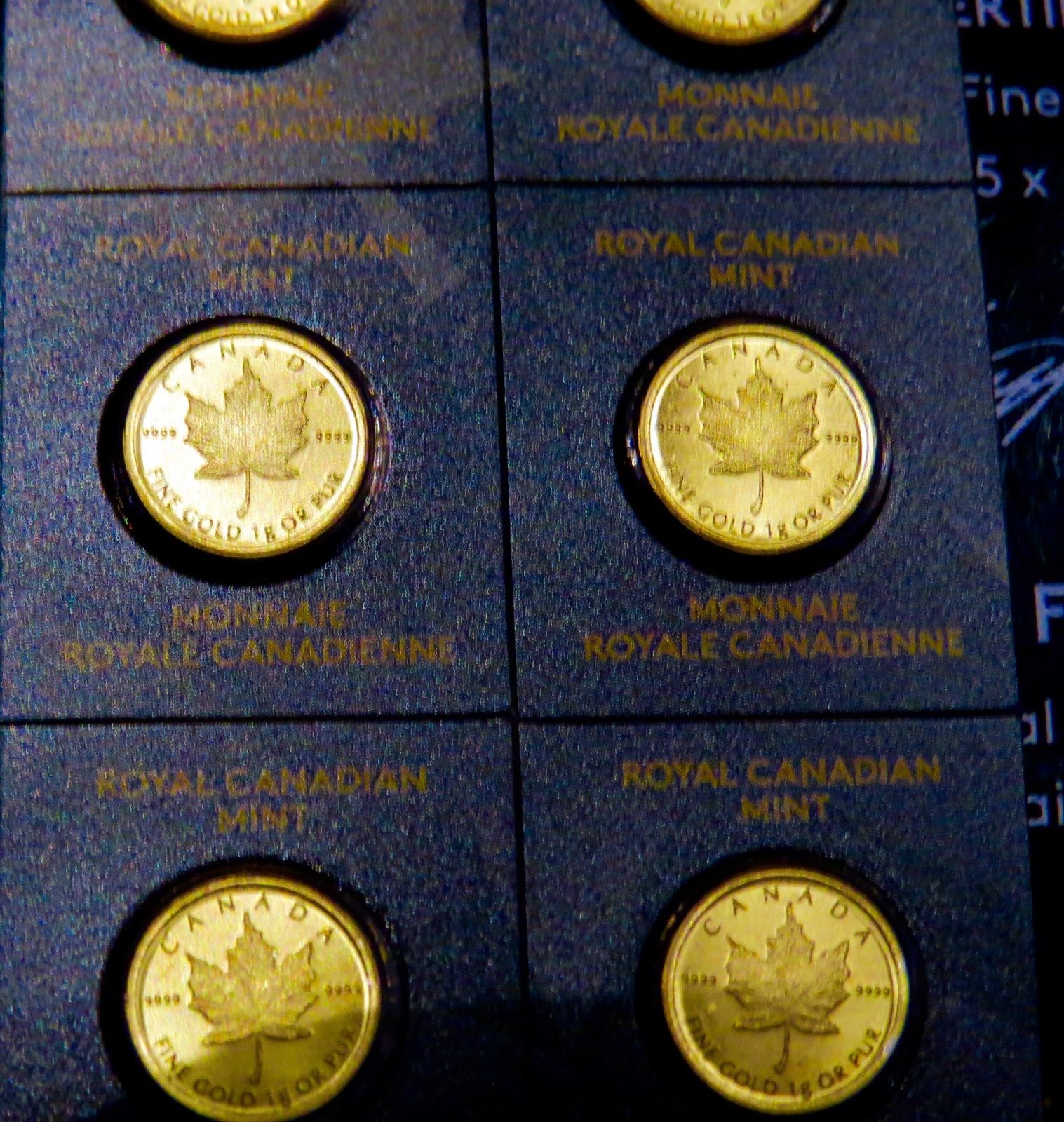 2014 ROYAL CANADIAN MINT MAPLEGRAM - ONE GRAM GOLD MAPLE .9999 FINE GOLD