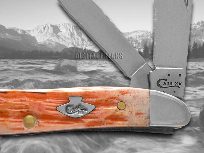 CASE XX Jigged Burnt Salmon Bone Peanut Stainless Pocket Knives Knife