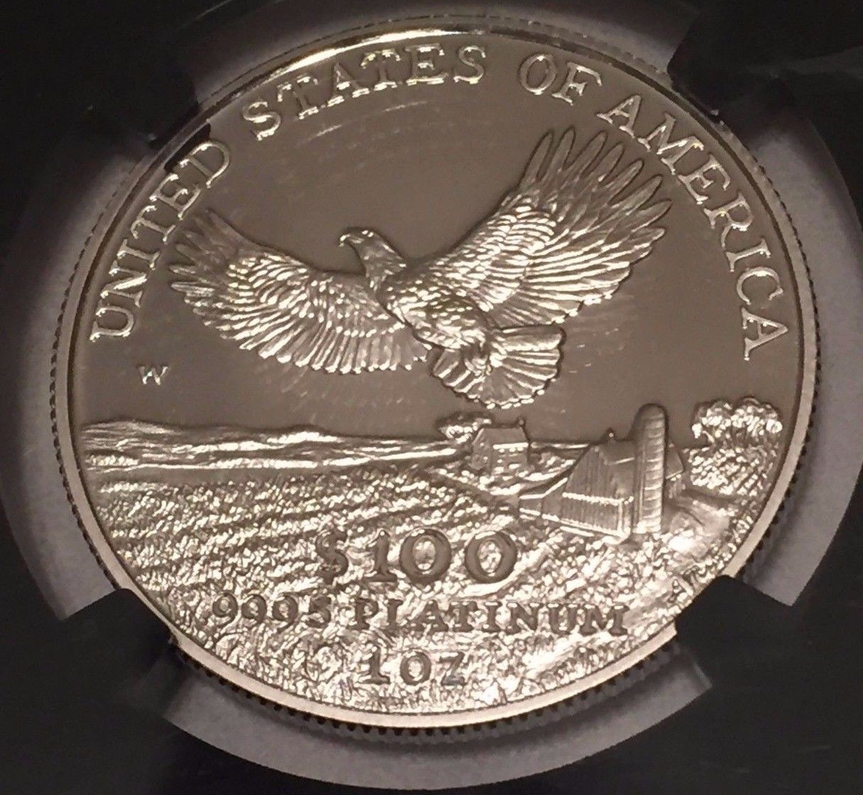 2000-W $100 Platinum Eagle 1oz NGC PR70UCAM : Beautiful Ultra Cameo