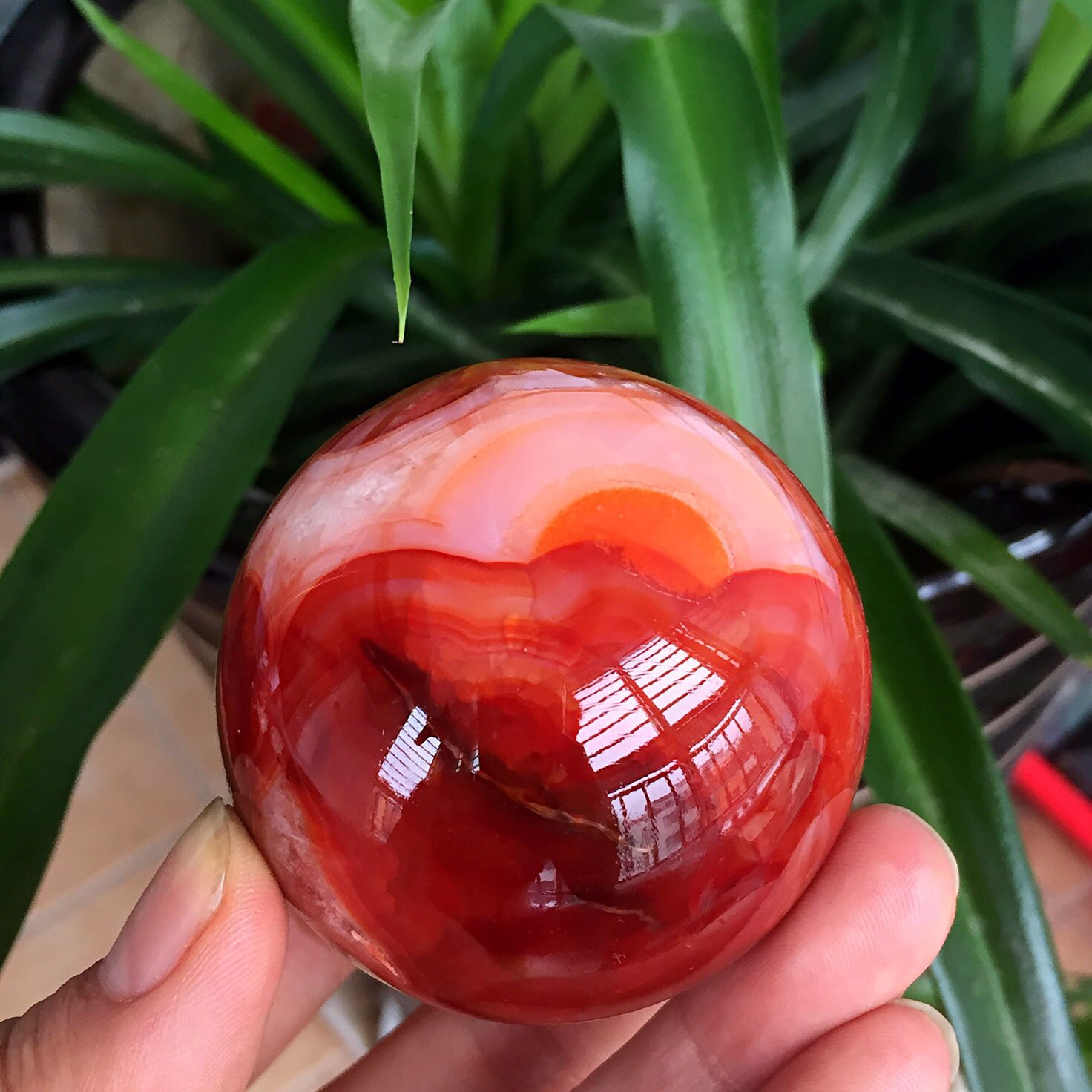 282g Beautiful Natural red Agate Crystal Sphere Ball healing Madagascar